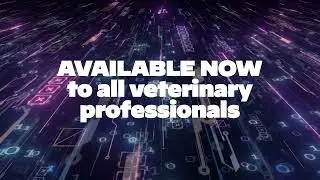 Discover BSAVA Rover