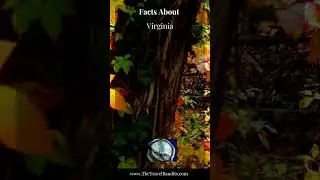 5 Fun Facts About Virginia