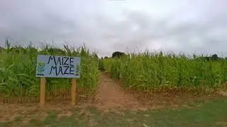 The Maize Maze at Somerley Fields, Chichester