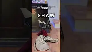 Честно говоря, могло быть и хуже #hornet #silksong #hollowknightsilksong #teamcherry #elii2s