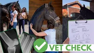 Examen pre-compra caballos 👩🏽‍⚕️- vet check a Liberty ✅