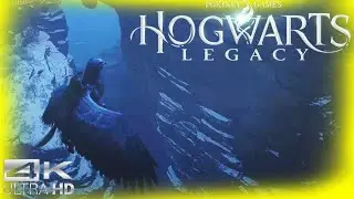 Collecting More Field Guide Pages - Hogwarts Legacy Part 82