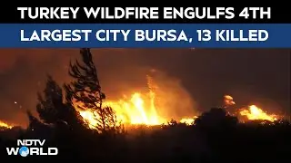 Turkey Wildfire News | Wildfires Threaten Turkey's Fourth-Largest City Forcing Evacuations