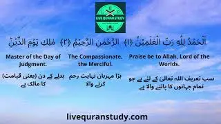 Quran Translation with Multiple Languages
