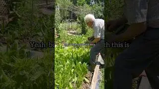 The World's Best Salad by Nonno Pasquale