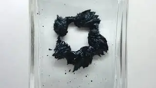 Ferrofluid Vortex and Spinning Magnetic Fields