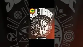 SOL-TRIBE by SACRED TEA&hellip; it&rsquo;s a movement. @MahMahTea  