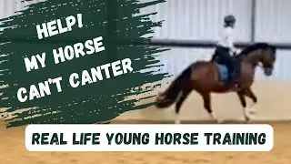 Fix These Mistakes in Your Horse's Canter