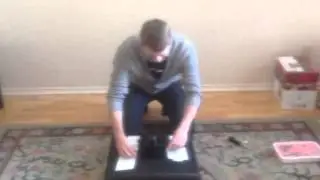 The Malkolm Chair with Sven