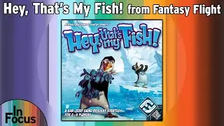 Hey, That's My Fish - In Focus