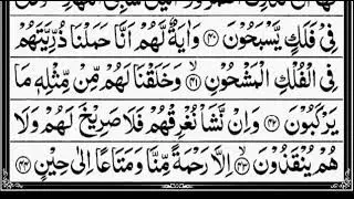 Surah Yaseen Surah Yasin 