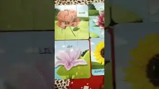 Unboxing : ?#A flower puzzle