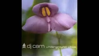 DJ Cam - Dieu Reconnaitra Les Siens Minus 8 Remix