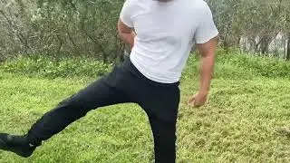 Idtswch 30' 32' 34' 36' 38 Inseam Mens Tall Athletic Pants Review