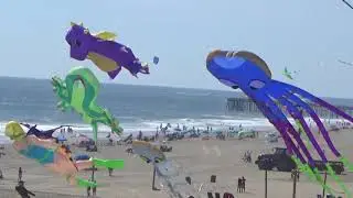 Sunfest Kite Festival 2017