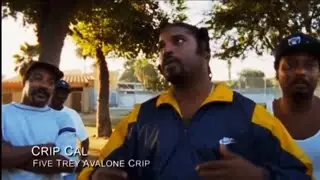 Crip Cal (53 Avalon Crip) Details How The Cops Stole His Car For A Drive Bye During Peace Treaty!