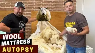 We Cut Open a 10-Year-Old Wool Mattress &mdash; Here&rsquo;s What We Found