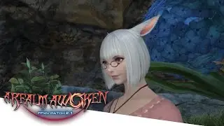FFXIV A Realm Awoken - Moving On