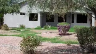 Phoenix Real Estate-Coldwater Springs home