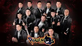 Banda pequeños Musical Viejitas Cosme Tadeo Para Bailar ✅ 30 Exitos Inmortales