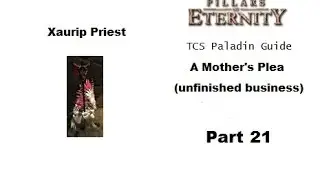 TCS Paladin Guide - Pillars of Eternity PART 21 ACT 2