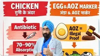Eggs have antibiotics? EGGS cause cancer? Truth Exposed.
