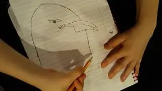 Easy Bald eagle drawing