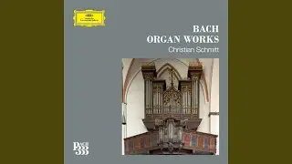 J.S. Bach: Vom Himmel hoch, da komm ich her, BWV 738a