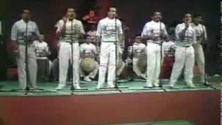 Cardenales del Exito - Gaiteros