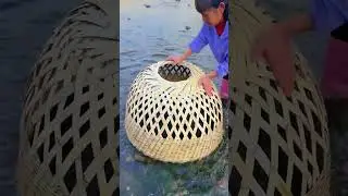 Is my fishing tool okay? #rurallife #outdoors #fishfood #fishtrip #Xiaomei #fishingfun