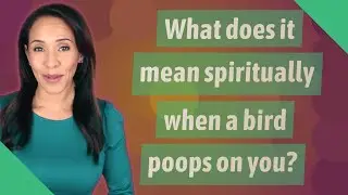 What does it mean spiritually when a bird poops on you?
