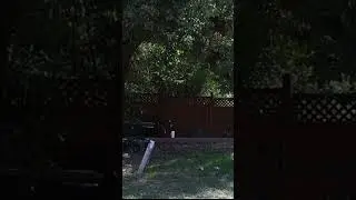 Backyard Airsoft Plinking 😂🏡🔫💥