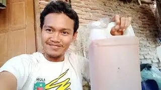 Bikin pupuk organik cair ajaib yang bikin subur tanaman buah