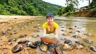 Harvesting 1000+ Giant Mussels, Ducks Eggs & Wild Ginseng &ndash; Go to Market Sell | Phuong's Daily