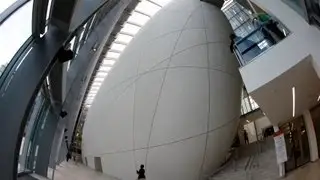 Inside the Natural History Museum's Darwin Centre