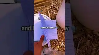 what if there is no geocaching logbook? let the cache owner know it needs to be replaced! 🗣️