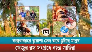 কক্সবাজারে কুয়াশা ভেদ করে ছুটছে মানুষ: খেজুর রস সংগ্রহে ব্যস্ত গাছিরা