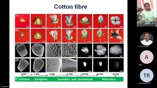 Guest Lecture-Prospects of polyethylene mulching in cotton based system of changing climate scenario