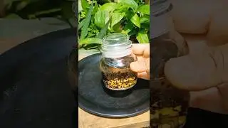 DIY Fenugreek Hair Toner For Long Thick Healthy Hair