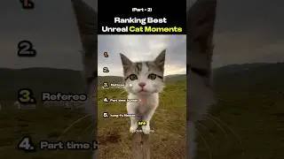 Рейтинг лучших моментов с нереальными кошками (часть 2)