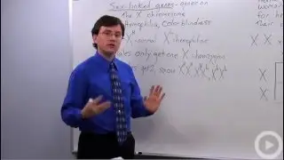 Sex-Linked Genes