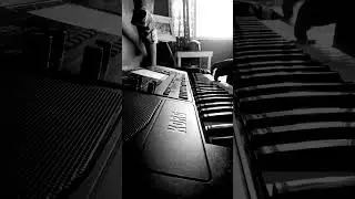 Set Gambus Korg 2025
