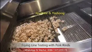 Frying Line Testing with Pork Rinds