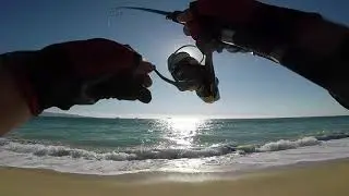 PESCA DE LENGUADO VI&Ntilde;A DEL MAR QUINTA REGION