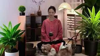 Tibetan Singing Bowls for Panic Attacks | Ground Yourself with Sound