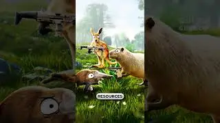 Why are australian animals so weird??