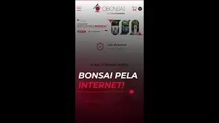 Comprar bonsai on-line &eacute; seguro?