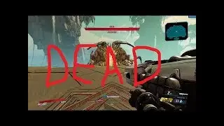 Moze Boss Smashing Build (Infinite Damage)