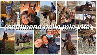 Una settimana nella mia vita! | Vlog corso istruttori e lavoro | Pernilla Iperti