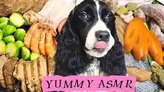 BEST ASMR DOG EATING MUKBANG COMPILATION | PURE DOG CHEWING SOUNDS RELAXING AND SOOTHING WHITE NOISE